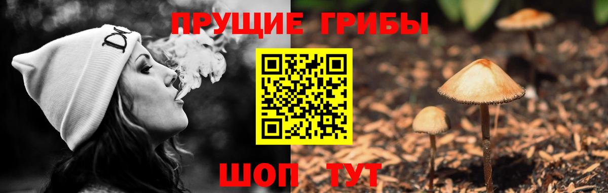Галлюциногенные грибы MAGIC MUSHROOMS Электросталь
